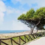 Flat Near ביביונה
